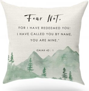 Christian Scripture Throw Pillow
